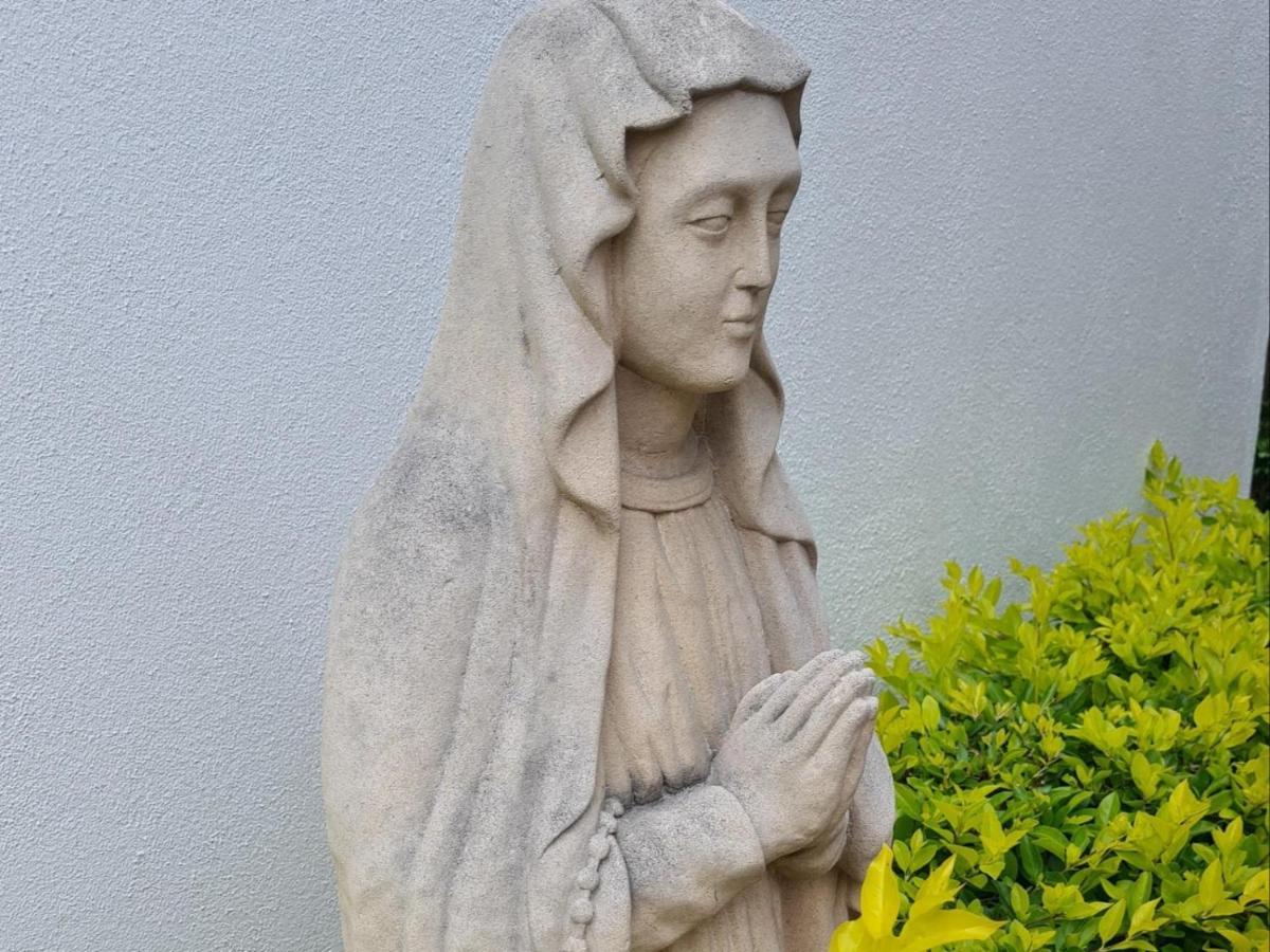 فندق Kolonie'S Tuin ستيلينبوش المظهر الخارجي الصورة